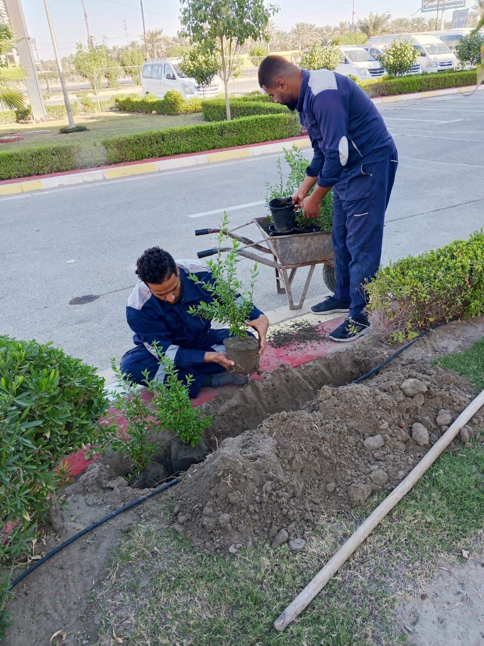 🌳 Ensuring Sustainability Efforts: A New Afforestation Campaign on Campus